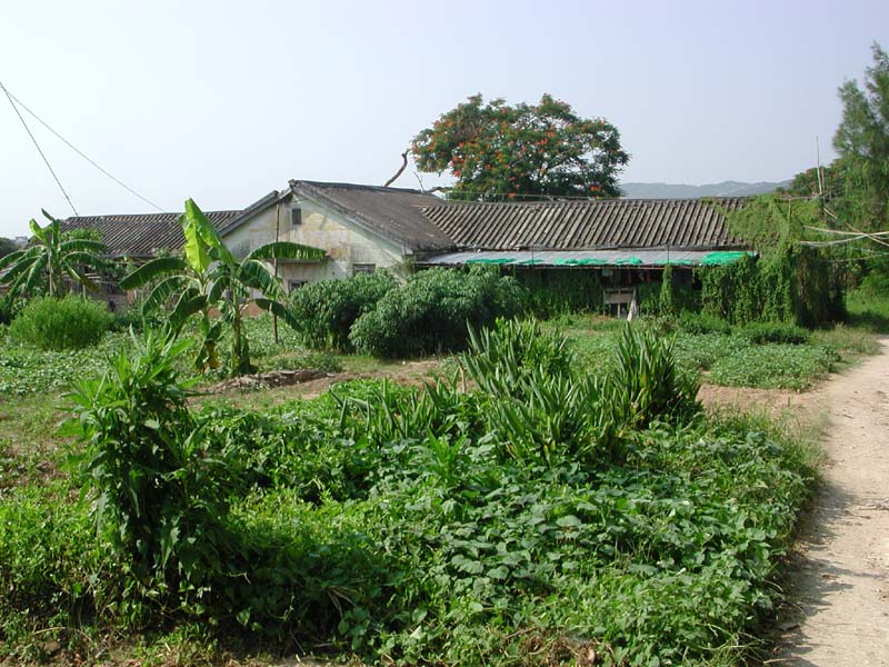DSCN1696