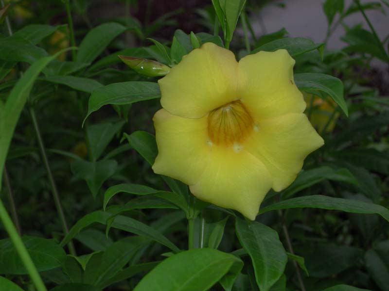 DSCN1751