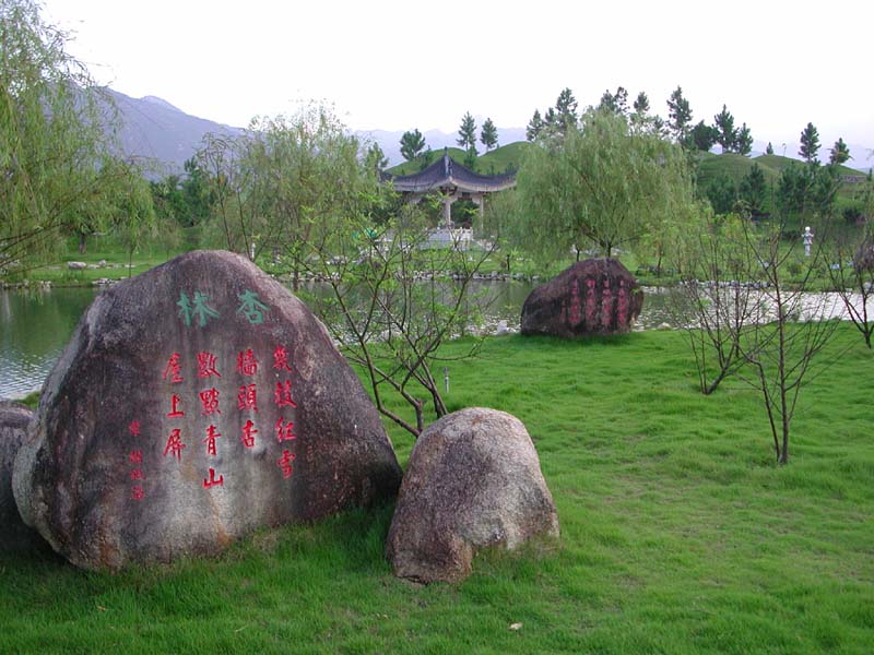 DSCN1774