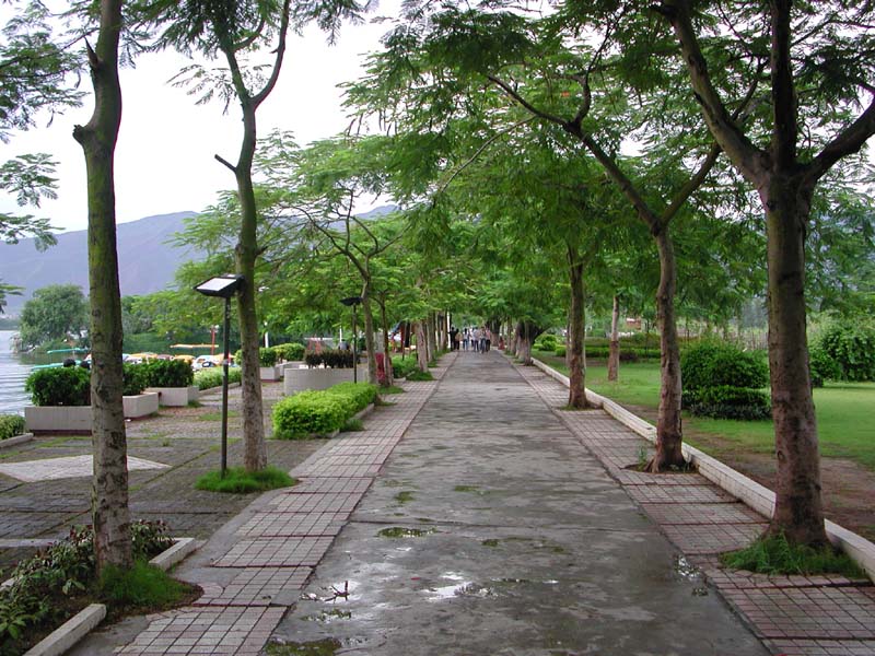 DSCN1584