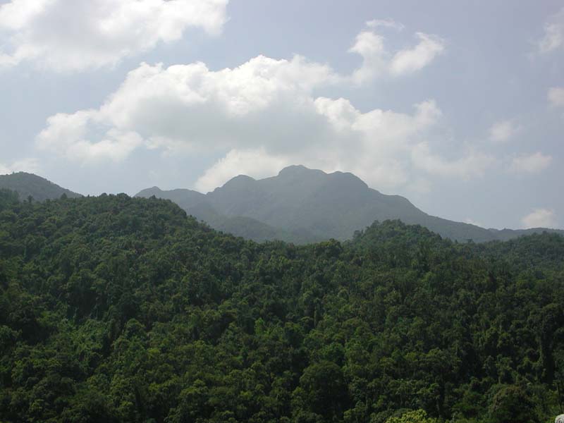 DSCN1606