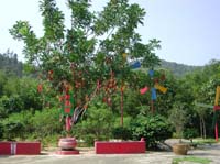 DSCN1616