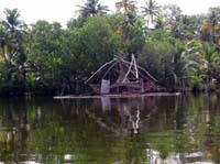 ChineFishingNet