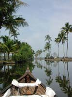 CoconutAlley