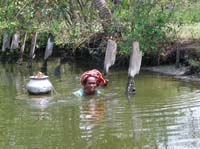 FisherWoman