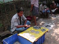 SmallFishMarket