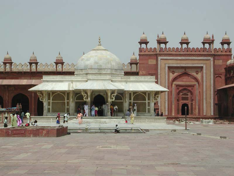 FatehPurSikriMoselium