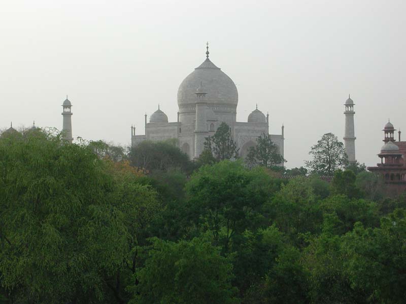 TajView