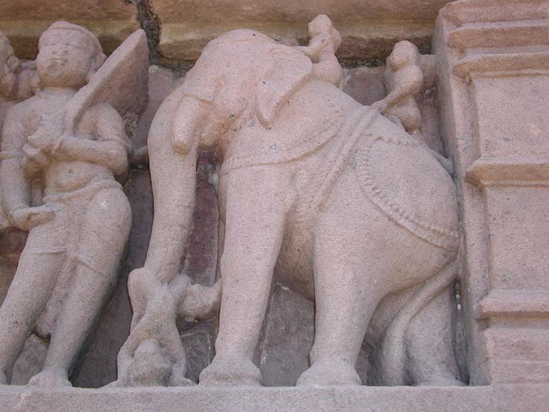 Elephant