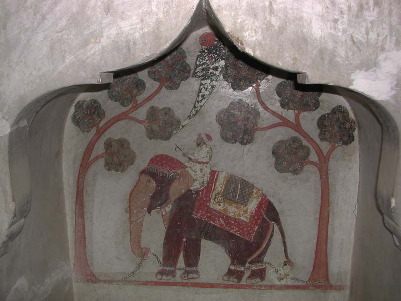 Elephant