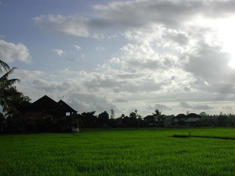DSCN3011