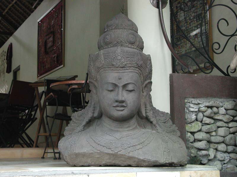 DSCN3049