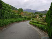 DSCN2445
