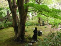 DSCN2140