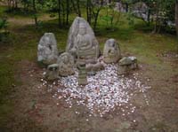 DSCN2302
