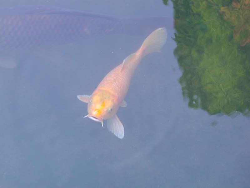 DSCN2530