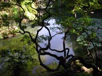 DSCN2516