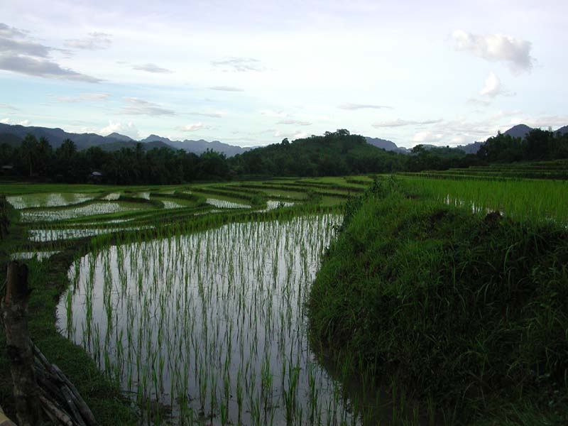 DSCN1338