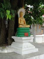 DSCN1352