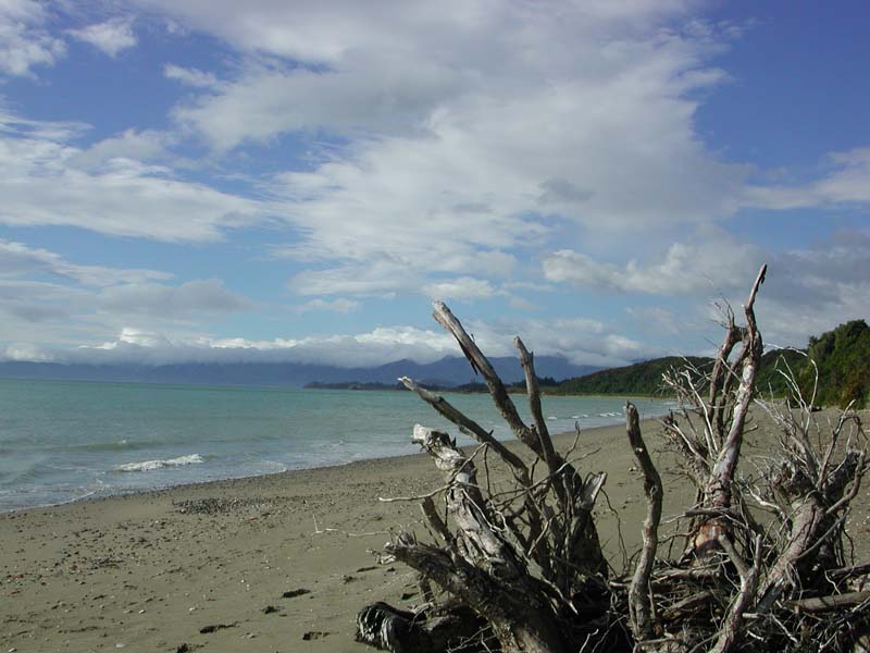 DSCN4191