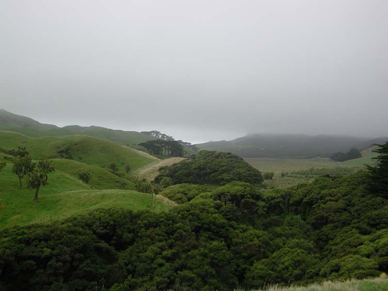 DSCN4194
