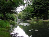 DSCN3905