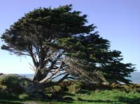 DSCN4164