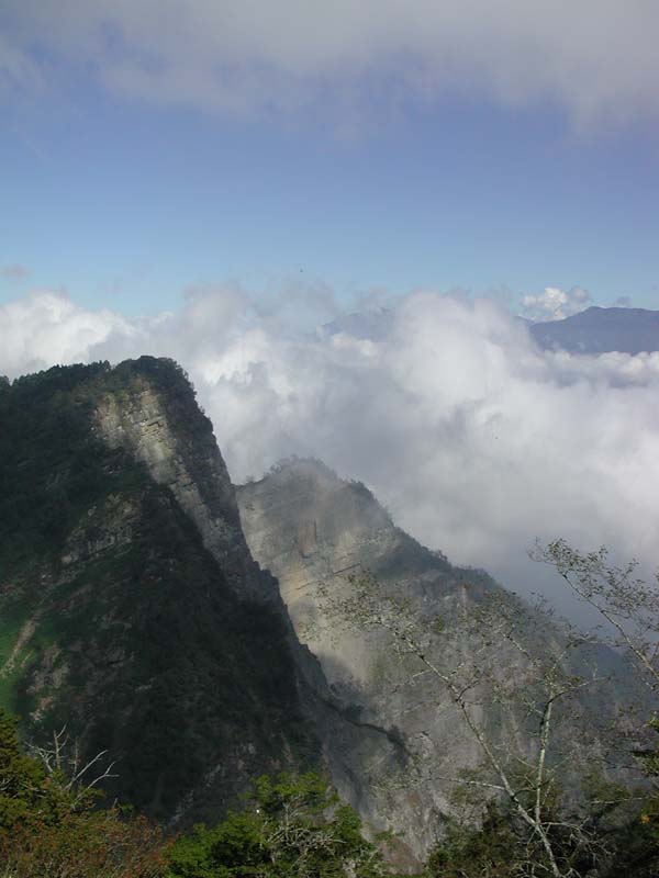 AliShan01