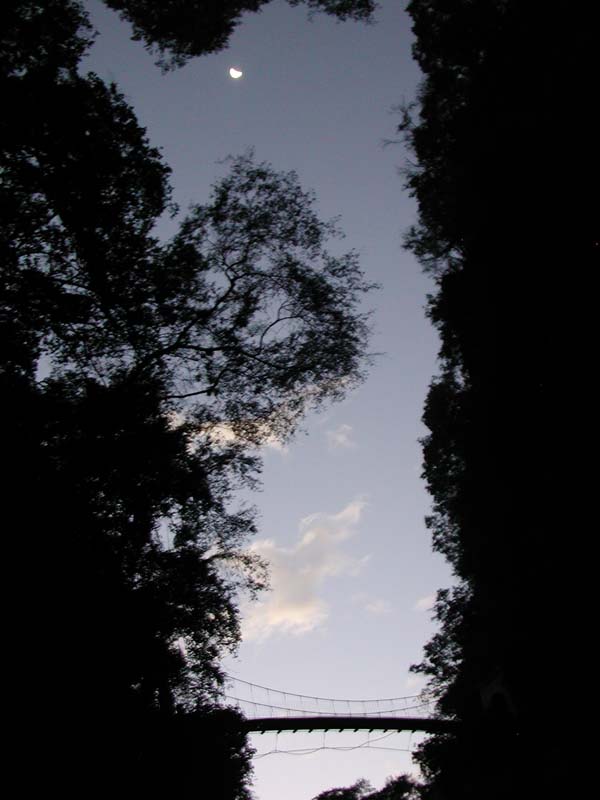 TorokoSunrise