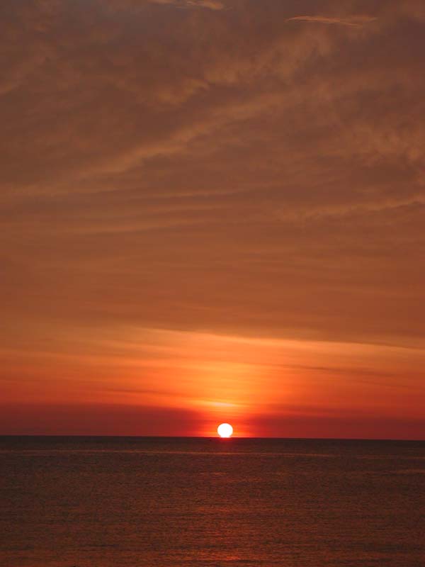 DSCN3175